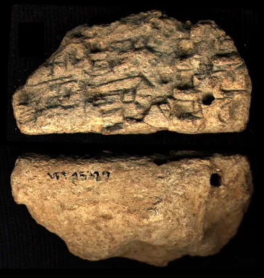 CDLI Lexical 000002, ex. 065