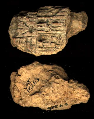 CDLI Lexical 000002, ex. 066