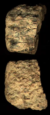 CDLI Lexical 000002, ex. 078