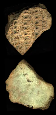 CDLI Lexical Archaic Unidentified, ex. 013