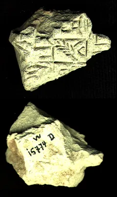 CDLI Lexical 000002, ex. 088
