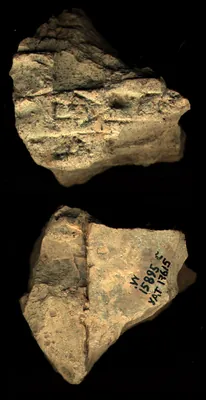 CDLI Lexical 000030, ex. 013