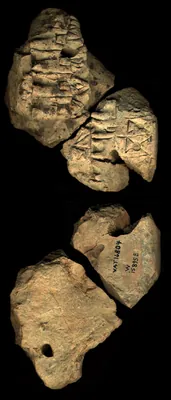 CDLI Lexical 000030, ex. 028