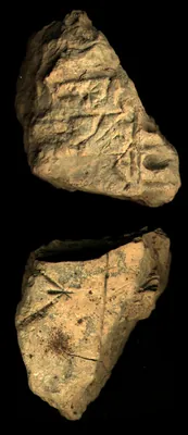 CDLI Lexical 000023, ex. 018