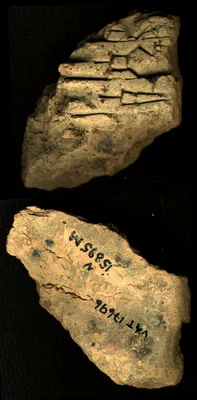 CDLI Lexical 000030, ex. 011