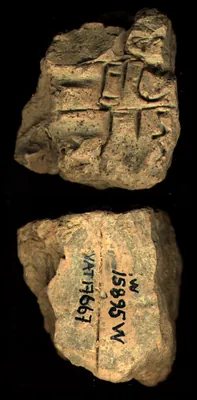CDLI Lexical 000002, ex. 069