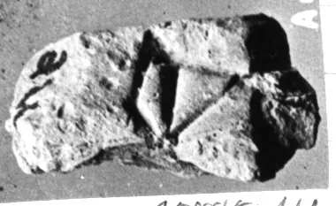 CDLI Lexical 000002, ex. 154