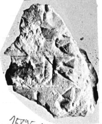 CDLI Lexical 000002, ex. 091