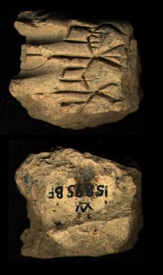 CDLI Lexical 000023, ex. 034