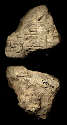 CDLI Lexical Archaic Unidentified, ex. 026